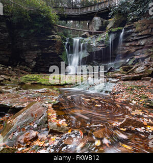 Elakala Falls - Canaan Valley, West Virginia, Balckwater Wasserfälle stürzen Stockfoto