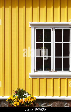 Gelben isländischen traditionelle Holzfassade. Vertikal Stockfoto