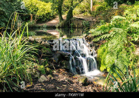 Kleiner See im Wald, umgeben von Bäumen mit kleinen Wasserfall Stockfoto