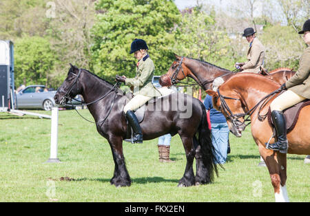 Bei Cothi Brücke Landwirtschaft zeigen Pferd und Pony, in der Nähe von Llandeilo,Carmarthenshire,Wales,U.K. Stockfoto