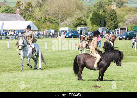 Bei Cothi Brücke Landwirtschaft zeigen Pferd und Pony, in der Nähe von Llandeilo,Carmarthenshire,Wales,U.K. Stockfoto