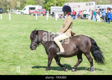 Bei Cothi Brücke Landwirtschaft zeigen Pferd und Pony, in der Nähe von Llandeilo,Carmarthenshire,Wales,U.K. Stockfoto