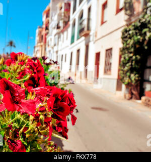 Blick auf eine ruhige Straße in einem kleinen mediterranen Dorfes, mit einer Pflanze mit roten Blumen im Vordergrund Stockfoto