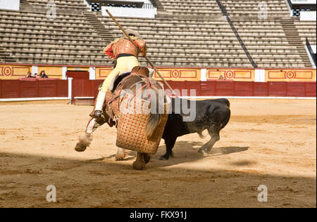 BADAJOZ, Spanien, Mai 11: Training hinter verschlossenen Türen am 11. Mai 2010 in Badajoz, Spanien Stierkampf.  Der Lancer Verwundung des Stiers Stockfoto