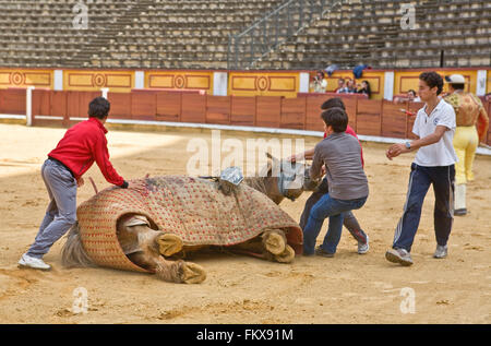 BADAJOZ, Spanien, Mai 11: Training hinter verschlossenen Türen am 11. Mai 2010 in Badajoz, Spanien Stierkampf. Der Lancer Pferd versuchen, stehen Stockfoto