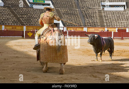 BADAJOZ, Spanien, Mai 11: Training hinter verschlossenen Türen am 11. Mai 2010 in Badajoz, Spanien Stierkampf.  Der Lancer ruft die bul Stockfoto