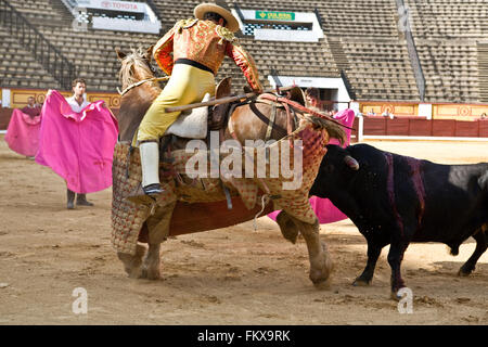 BADAJOZ, Spanien, Mai 11: Training hinter verschlossenen Türen am 11. Mai 2010 in Badajoz, Spanien Stierkampf. Das Lancer-Pferd ist rose von b Stockfoto