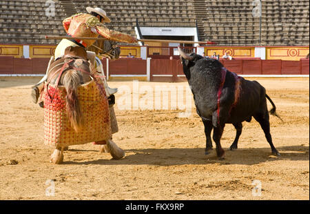 BADAJOZ, Spanien, Mai 11: Training hinter verschlossenen Türen am 11. Mai 2010 in Badajoz, Spanien Stierkampf.  Der Lancer Verwundung des Stiers Stockfoto