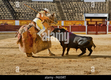 Badajoz, Spanien - Mai 11: Training hinter verschlossenen Türen am 11. Mai 2010 in Badajoz, Spanien Stierkampf.  Der Lancer Verwundung der bul Stockfoto