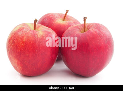 Drei rote Gala Äpfel isoliert auf einem weißen Hintergrund. Stockfoto