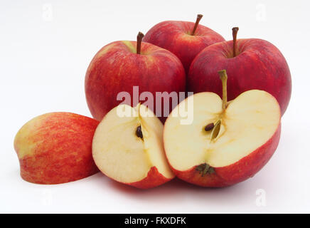 Vier rote Gala Äpfel mit einer in Scheiben geschnitten in die Hälfte und Viertel zeigt den Kern, isoliert auf einem weißen Hintergrund. Stockfoto