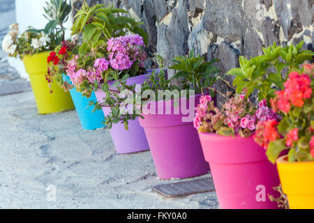 Farbige Töpfe Straße Santorini Blumen Griechenland bunte Pelargonien in Töpfen Blumen Behälter Pelargonium Töpfe Blumen Santorini Griechenland leere Straße Stockfoto