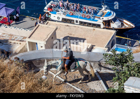 Esel, die Touristen auf dem Weg, der den Hafen mit der Stadt Thira Santorini, griechische Insel, Kykladen, Griechenland reisen Stockfoto