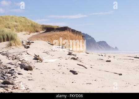 Die Essenz von der Küste von Oregon mit grasbedeckten Dünen Klettern eine schroffe Klippe hinunter zum Sandstrand mit nebligen Landzungen in Stockfoto