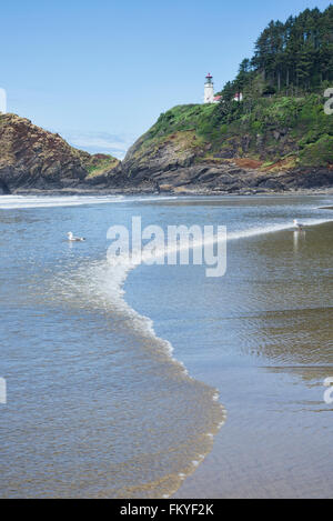 Sanfte Wellen schwappen in eine anmutige s-Kurve entlang des Strandes im Teufels Ellenbogen State Park in Lane County Oregon. Stockfoto