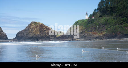 Die Heceta Head Lighthouse Sitzstangen hoch auf einer Klippe über der zerklüfteten Felsen und Wasser bedeckt Strand in Lane County Oregon. Stockfoto