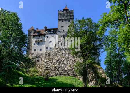 Schloss Bran, Draculas Schloss, Siebenbürgen, Rumänien Stockfoto