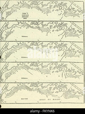 Eine ökologische Charakterisierung von Coastal Maine (Norden und Osten des Cape Elizabeth) (1980)