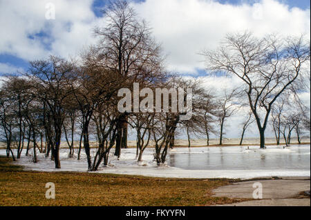 Chicago, Illinois, USA, 8. Februar, produziert 08.02.1987 ein gewaltiger Sturm Blizzard Bedingungen in der Region der großen Seen. Nordwinde von 50 bis 70 km/h hob den Wasserspiegel des südlichen Lake Michigan zwei Füße und produziert Wellen 12 bis 18 Fuß hoch. Lake Shore Drive ist durch gefrorenes Wasser bedeckt, die im Laufe die Ufermauer umspült. Bildnachweis: Mark Reinstein Stockfoto