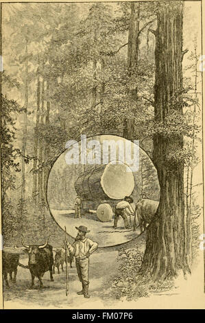 *Old Mexico and her Lost Provinces* (1883) dokumentiert eine Reise durch Mexiko, Südkalifornien und Arizona und bietet Einblicke in die Geographie, Kultur und Geschichte der Region. Das Buch befasst sich auch mit Kuba als Teil der Reiseerzählung. Stockfoto