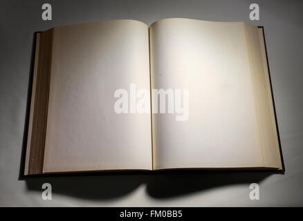 Leere weiße Seiten in ein offenes gebundenes Buch. Stockfoto