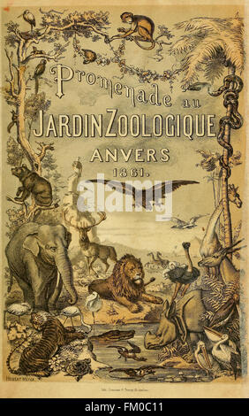 Promenade au Jardin Zoologique d ' Anvers (pl. 1) Stockfoto