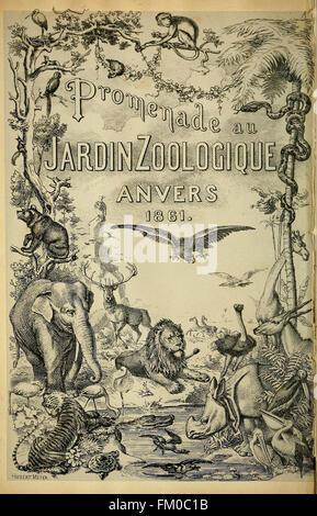 Promenade au Jardin Zoologique d ' Anvers (pl. 2) Stockfoto