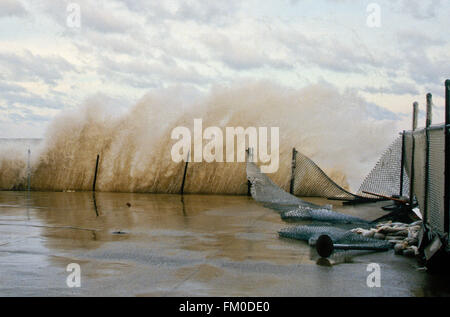 Chicago, Illinois, USA, 8. Februar 1987 gewaltiger Sturm produziert Blizzard Bedingungen in der Region der großen Seen. Nordwinde von 50 bis 70 km/h hob den Wasserspiegel des südlichen Lake Michigan zwei Füße und produziert Wellen 12 bis 18 Fuß hoch, hier gesehen, die Dämme der Eigentumswohnungen Misshandlung und beschichten sie mit Eis bis zur 3. Etage.  Bildnachweis: Mark Reinstein Stockfoto