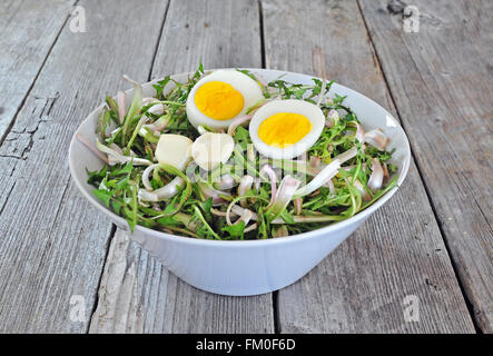Foto von frischem Löwenzahn Salat mit gekochten Eiern und Knoblauch Stockfoto