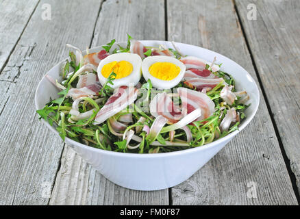 Frischer Löwenzahn Salat mit gekochten Eiern und Speck Stockfoto