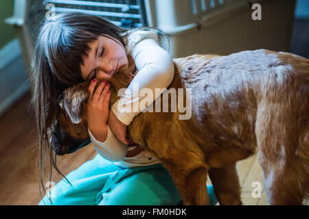 Brown-Chow-Labrador mix, Welpe, 6 Monate alt mit kaukasischen 5 Jahr-altes Mädchen Stockfoto