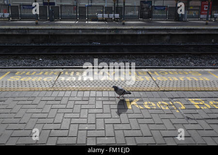 "Seachain ein Bhearna' -"Mind the Gap"Warnschild in Gälisch auf Plattform am Dublin Connolly Bahnhof Stockfoto