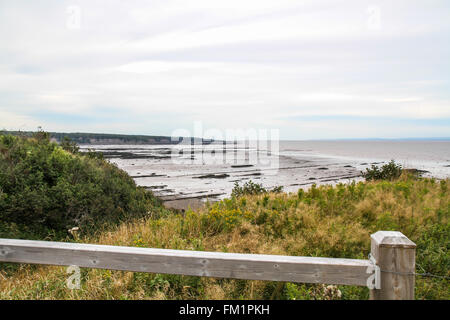 Joggins Strand in der Bucht von Fundy in den Mittelpunkt der Joggins Fossil Stockfoto