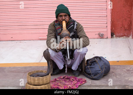 Asien, Indien, Rajasthan, Jaipur, Schlangenbeschwörer spielen Pungi (Querflöte). Stockfoto
