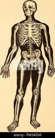 Dieses Lehrbuch aus dem Jahr 1900 behandelt die Grundlagen der menschlichen Anatomie, Physiologie und Hygiene und zielt darauf ab, Schülerinnen und Schüler über Körpersysteme und Gesundheitspraktiken zu informieren. Stockfoto