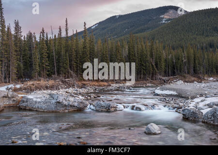 Stromschnellen im Winter in Kananaskis Stockfoto