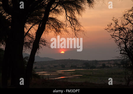 Afrikanischen Sonnenuntergang über Great Ruaha River im Ruaha Nationalpark Stockfoto