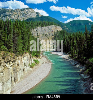 South fork Flathead River an Bunker-Creek-Mündung in der Nähe von hungrigen Pferd, montana Stockfoto