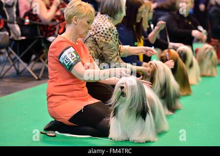 Birmingham, Großbritannien. 10. März 2016. Besitzer und ihre Hunde sind auf dem Wettbewerb Show Floor auf der Crufts Dog Show in Birmingham, Großbritannien, 10. März 2016 gesehen. Die jährliche viertägige Veranstaltung, eröffnet am Donnerstag, ist eines der größten in der Welt. Bildnachweis: Ray Tang/Xinhua/Alamy Live-Nachrichten Stockfoto