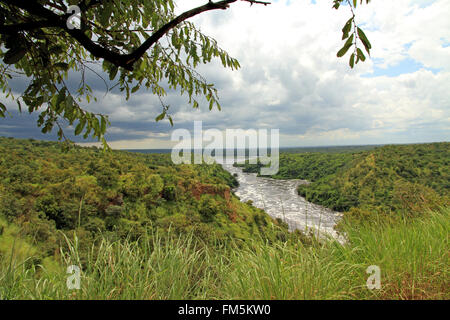 Ein dunkel bewölkter Sturm kommt über die Üppigkeit des Murchison Falls National Park Stockfoto