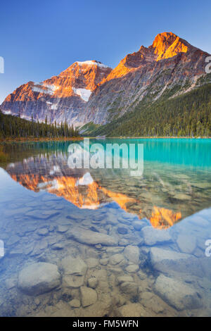 Mount Edith Cavell spiegelt sich in Cavell Lake im Jasper Nationalpark, Kanada. Bei Sonnenaufgang fotografiert. Stockfoto