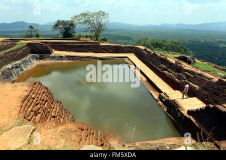 (160311)--SIGIRIYA, 11. März 2016 (Xinhua)--eine touristische Besuche der antiken Stadt von Sigiriya, etwa 170 km nordöstlich von Colombo, der Hauptstadt Sri Lankas, am 8. März 2016. Die Ruinen der Hauptstadt gebaut von der parricidal König Kassapa liege ich (AD477-495) an den steilen Hängen und auf dem Gipfel eines Granit-Peaks stehen rund 180m hoch. Eine Reihe von Galerien und Treppen, die aus der Mündung des einen riesigen Löwen konstruierter Ziegel und Putz bietet Zugriff auf die Website. Die antike Stadt Sigiriya wurde durch die Vereinten Nationen für Erziehung, Wissenschaft und Kultur Orgel als Weltkulturerbe eingeschrieben. Stockfoto