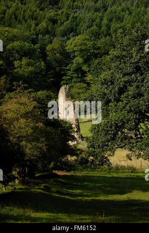 Kirkham Priory, North Yorkshire Stockfoto