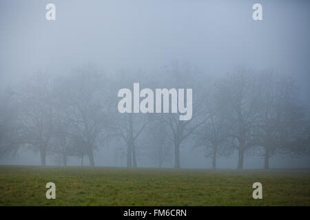 London, UK 11. März 2016. UK-Wetter: Finsbury Park in Nord-London ist bedeckt von dichtem Nebel an einem kalten frostigen Morgen Credit: Dinendra Haria/Alamy Live News Stockfoto