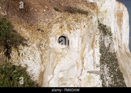 White Cliffs of Dover, Tunnel auf der Klippe Stockfoto