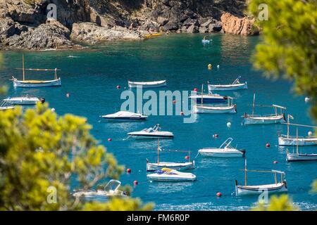 Spanien, Katalonien, Costa Brava, Provinz Girona, untere Emporda (Baix Emporda), die Bucht von Llafranc Stockfoto