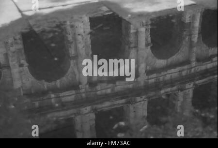 Das Kolosseum spiegelt sich in einer Pfütze, Rom, Italien Stockfoto