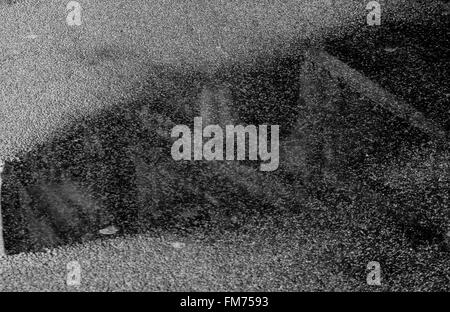 Das Kolosseum spiegelt sich in einer Pfütze, Rom, Italien Stockfoto