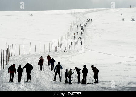 Langläufer folgen ein Höhenweg in der Nähe der Tschechischen höchste Gipfel Schneekoppe (1.603 m, 5.259 ft), Pec Pod Snezkou, 150 km (93 Meilen) Ost nördlich von Prag, auf Freitag, 26. Februar 2016 Sinkende Temperaturen und Schnee fallen verbesserte Bedingungen für Skifahren in einem der beliebtesten tschechischen Wintersportort im Riesengebirge. (CTK Foto/David Tanecek) Stockfoto