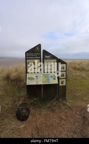 Informationstafel am Tentsmuir National Nature Reserve Fife Schottland März 2016 Stockfoto